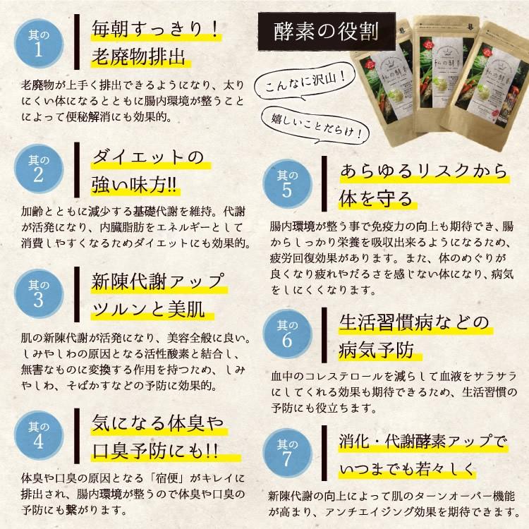 酵素 サプリメント 私の酵素 送料無料 国産酵素 難消化性デキストリン 乳酸菌 ダイエット 健康 酵素 粉末酵素 | ブランド登録なし | 08