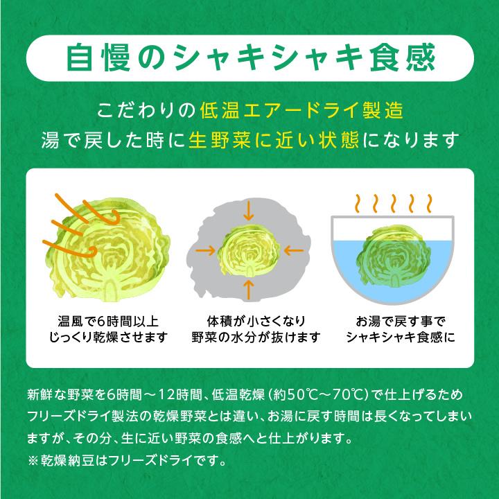 乾燥野菜 ミックス 私の楽ベジ 100g 野菜セット 5種類 国産 ドライ野菜 定期購入 保存食 主婦の味方 生野菜約1kg分 防災食 災害食 非常食 ポイント利用 爆買 | 山下屋荘介 | 14