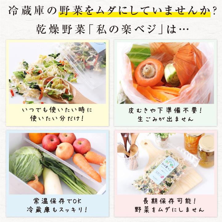 乾燥野菜 ミックス 私の楽ベジ 100g 野菜セット 5種類 国産 ドライ野菜 定期購入 保存食 主婦の味方 生野菜約1kg分 防災食 災害食 非常食 ポイント利用 爆買 | 山下屋荘介 | 17