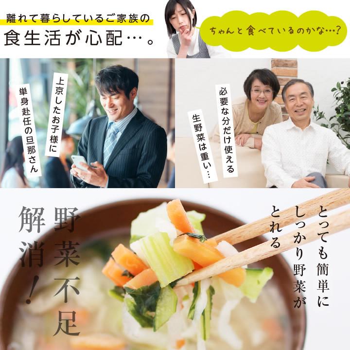 乾燥野菜 ミックス 私の楽ベジ 100g 野菜セット 5種類 国産 ドライ野菜 定期購入 保存食 主婦の味方 生野菜約1kg分 防災食 災害食 非常食 ポイント利用 爆買 | 山下屋荘介 | 18