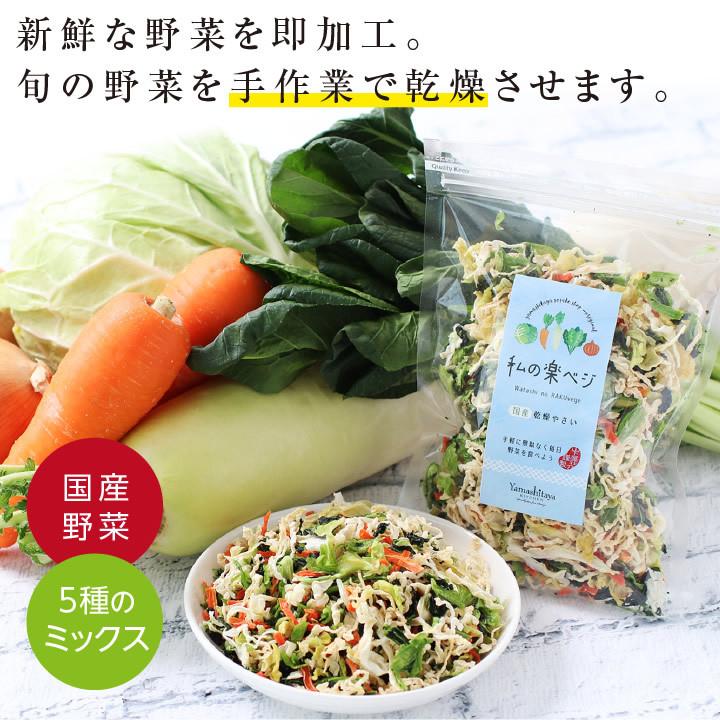 乾燥野菜 ミックス 私の楽ベジ 100g 野菜セット 5種類 国産 ドライ野菜 定期購入 保存食 主婦の味方 生野菜約1kg分 防災食 災害食 非常食 ポイント利用 爆買 | 山下屋荘介 | 20