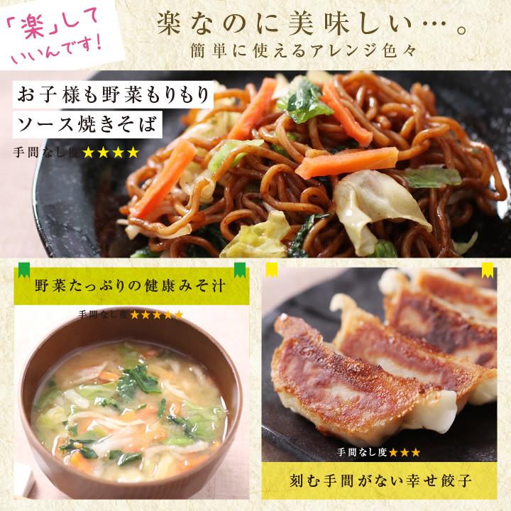 乾燥野菜 ミックス 私の楽ベジ 100g 野菜セット 5種類 国産 ドライ野菜 定期購入 保存食 主婦の味方 生野菜約1kg分 防災食 災害食 非常食 ポイント利用 爆買 | 山下屋荘介 | 21