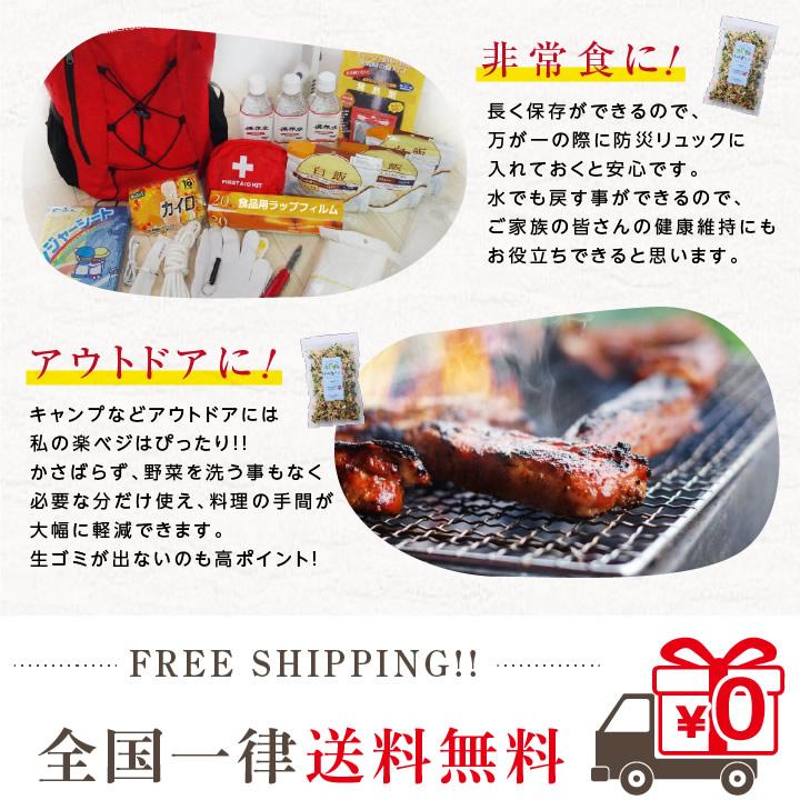 乾燥野菜 ミックス 私の楽ベジ 100g 野菜セット 5種類 国産 ドライ野菜 定期購入 保存食 主婦の味方 生野菜約1kg分 防災食 災害食 非常食 ポイント利用 爆買 | 山下屋荘介 | 24