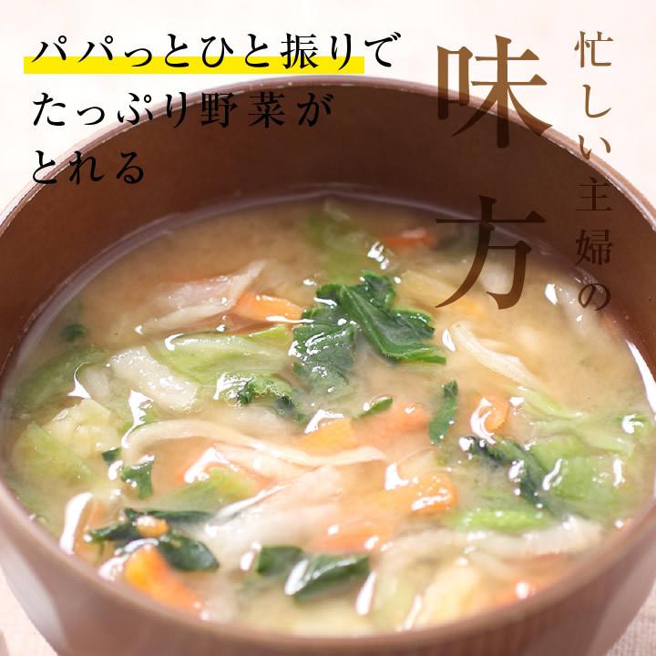 乾燥野菜 ミックス 私の楽ベジ 100g 野菜セット 5種類 国産 ドライ野菜 定期購入 保存食 主婦の味方 生野菜約1kg分 防災食 災害食 非常食 ポイント利用 爆買 | 山下屋荘介 | 09