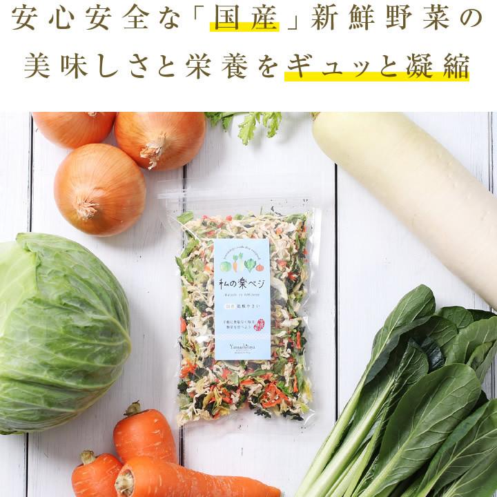 国産 乾燥野菜ミックス 私の楽ベジ 100g 5種の国産野菜 ドライ野菜 干し野菜 送料無料 | 保存食 主婦の味方 生野菜約1kg分｜so-suke｜10