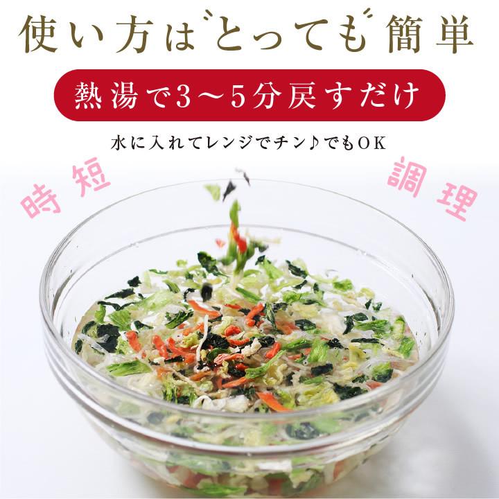 乾燥野菜 ミックス 私の楽ベジ 100g 野菜セット 5種類 国産 ドライ野菜 定期購入 保存食 主婦の味方 生野菜約1kg分 防災食 災害食 非常食 ポイント利用 爆買 | 山下屋荘介 | 11