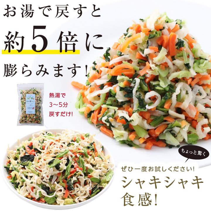 国産 乾燥野菜ミックス 私の楽ベジ 100g 5種の国産野菜 ドライ野菜 干し野菜 送料無料 | 保存食 主婦の味方 生野菜約1kg分｜so-suke｜14