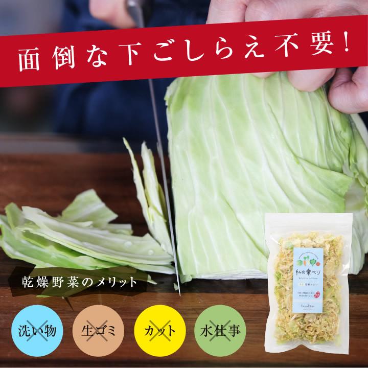 乾燥キャベツ 100g 生野菜約1kg分 キャベツ 国産きゃべつ ドライ野菜 干し野菜 サラダ スープ 無添加  簡単 時短 保存食 常備菜 非常食 即席みそ汁｜so-suke｜03