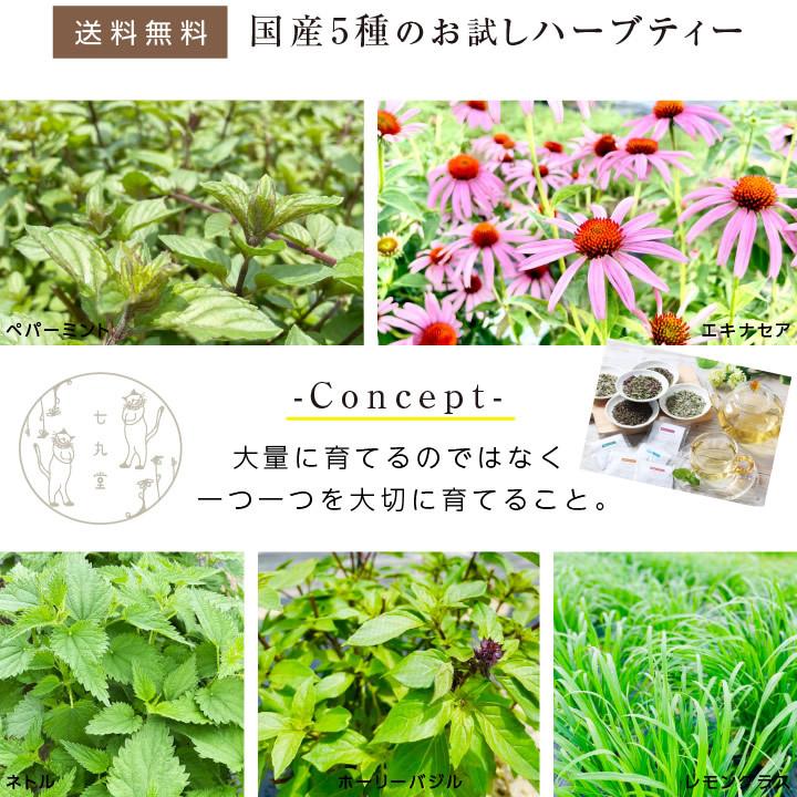 山下屋荘介 ハーブティー 5種お試しセット 送料無料 栽培期間 農薬不使用 無農薬栽培 ペパーミント エキナセア ネトル ホーリーバジル 