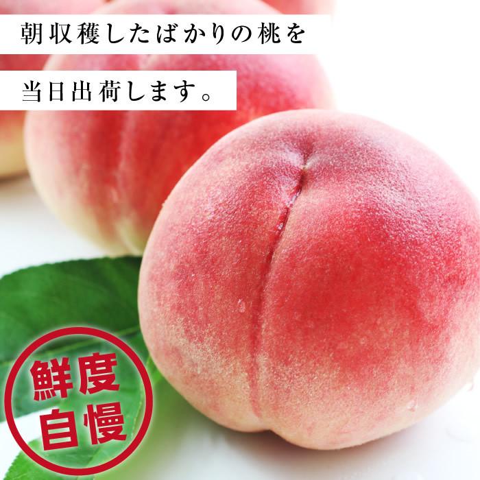 山下屋荘介 桃 あかつき 秀品 5kg 13〜18玉 長野県産 送料無料 産地