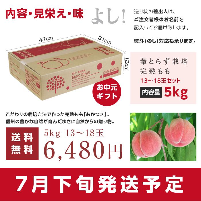 山下屋荘介 桃 あかつき 秀品 5kg 13〜18玉 長野県産 送料無料 産地