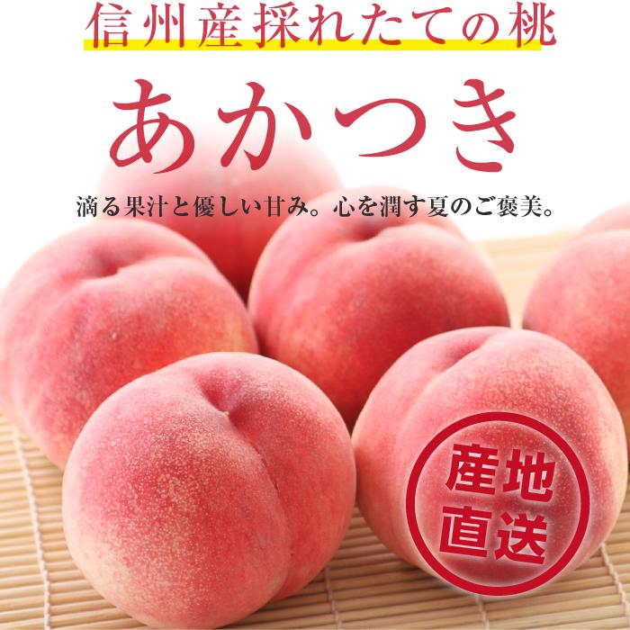 山下屋荘介 桃 あかつき 秀品 5kg 13〜18玉 長野県産 送料無料 産地