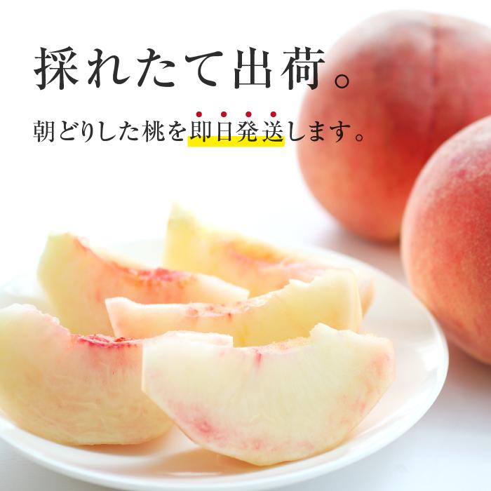 山下屋荘介 桃 あかつき 秀品 5kg 13〜18玉 長野県産 送料無料 産地