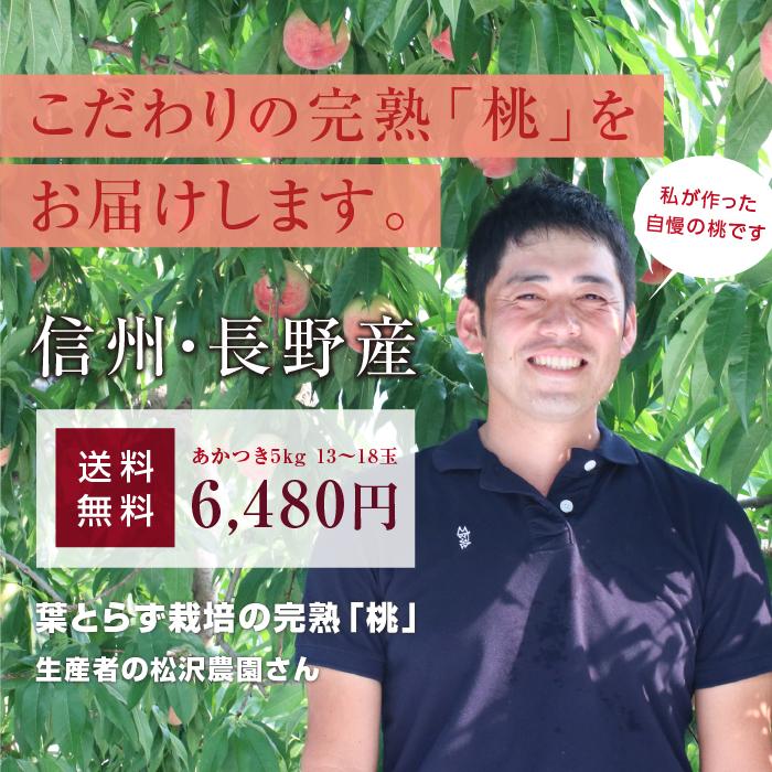 山下屋荘介 桃 あかつき 秀品 5kg 13〜18玉 長野県産 送料無料 産地
