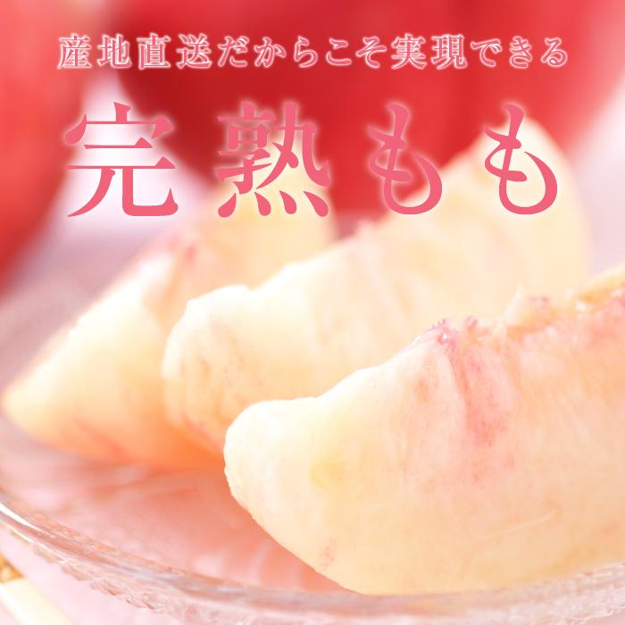 山下屋荘介 桃 あかつき 秀品 5kg 13〜18玉 長野県産 送料無料 産地