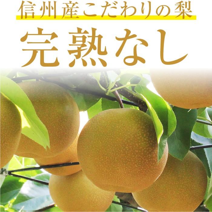 梨 長野県産 送料無料 秀品 3kg 幸水 豊水 二十世紀 南水 選べる品種 完熟なし 産地直送 甘い梨 旬の果物 ギフト お取り寄せ お中元 残暑見舞い｜so-suke｜06