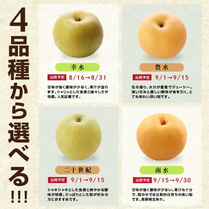 梨 長野県産 送料無料 秀品 3kg 幸水 豊水 二十世紀 南水 選べる品種 完熟なし 産地直送 甘い梨 旬の果物 ギフト お取り寄せ お中元 残暑見舞い 超PayPay祭 | 山下屋荘介 | 14