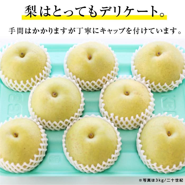 梨 長野県産 送料無料 秀品 3kg 幸水 豊水 二十世紀 南水 選べる品種 完熟なし 産地直送 甘い梨 旬の果物 ギフト お取り寄せ お中元 残暑見舞い 超PayPay祭 | 山下屋荘介 | 16