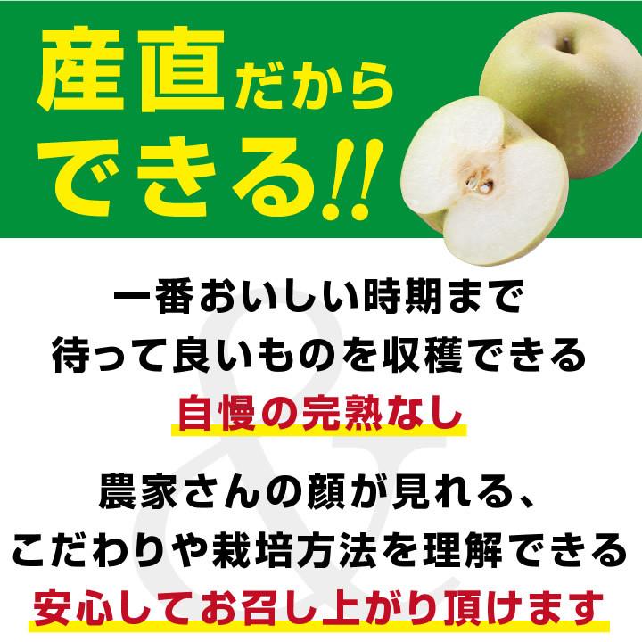 梨 長野県産 送料無料 秀品 3kg 幸水 豊水 二十世紀 南水 選べる品種 完熟なし 産地直送 甘い梨 旬の果物 ギフト お取り寄せ お中元 残暑見舞い 超PayPay祭 | 山下屋荘介 | 19