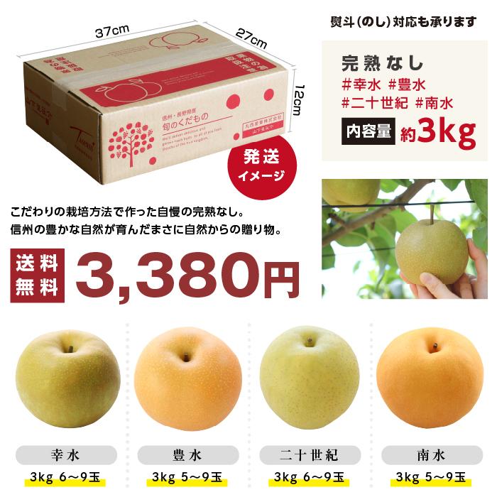 梨 長野県産 送料無料 秀品 3kg 幸水 豊水 二十世紀 南水 選べる品種 完熟なし 産地直送 甘い梨 旬の果物 ギフト お取り寄せ お中元 残暑見舞い 超PayPay祭 | 山下屋荘介 | 18