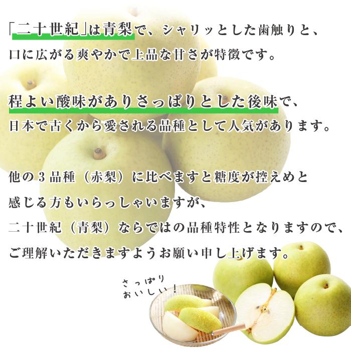 山下屋荘介 梨 長野県産 送料無料 秀品 3kg 幸水 豊水 二十世紀 南水