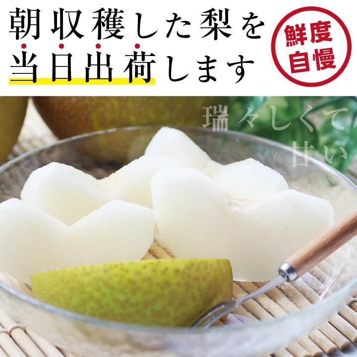 梨 長野県産 送料無料 秀品 3kg 幸水 豊水 二十世紀 南水 選べる品種 完熟なし 産地直送 甘い梨 旬の果物 ギフト お取り寄せ お中元 残暑見舞い｜so-suke｜07