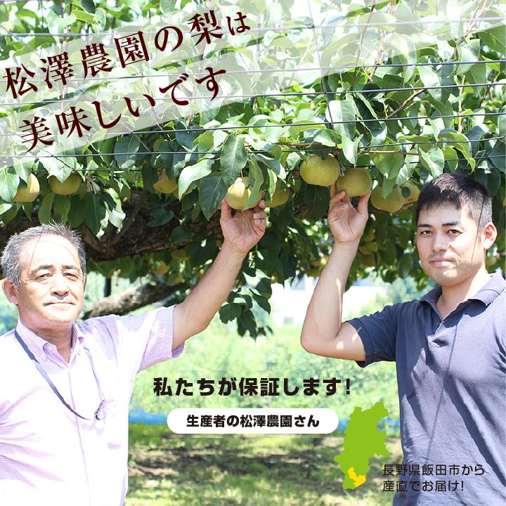 梨 長野県産 送料無料 秀品 3kg 幸水 豊水 二十世紀 南水 選べる品種 完熟なし 産地直送 甘い梨 旬の果物 ギフト お取り寄せ お中元 残暑見舞い 超PayPay祭 | 山下屋荘介 | 09