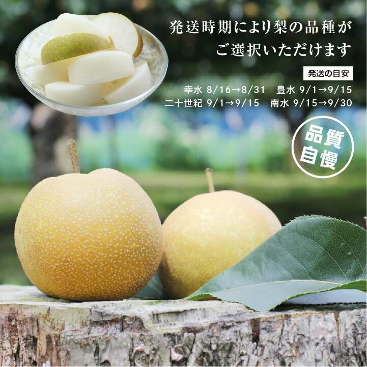 梨 長野県産 送料無料 秀品 3kg 幸水 豊水 二十世紀 南水 選べる品種 完熟なし 産地直送 甘い梨 旬の果物 ギフト お取り寄せ お中元 残暑見舞い 超PayPay祭 | 山下屋荘介 | 11