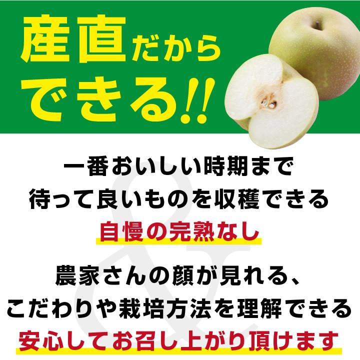 梨 長野県産 送料無料 秀品 5kg 幸水 豊水 二十世紀 南水 選べる品種 完熟なし 産地直送 甘い梨 旬の果物 ギフト お取り寄せ お中元 残暑見舞い｜so-suke｜19