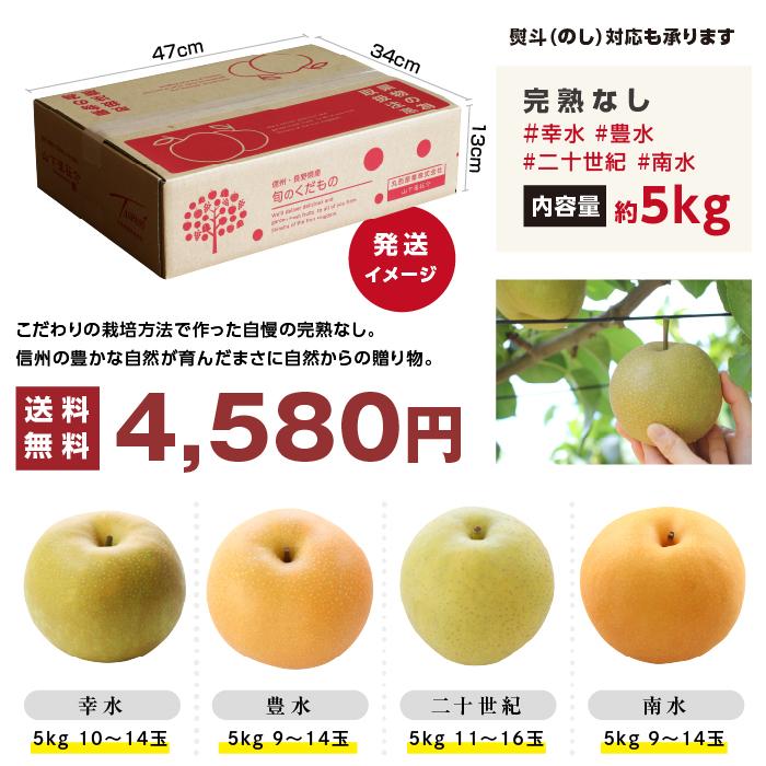 山下屋荘介 梨 長野県産 送料無料 秀品 5kg 幸水 豊水 二十世紀 南水