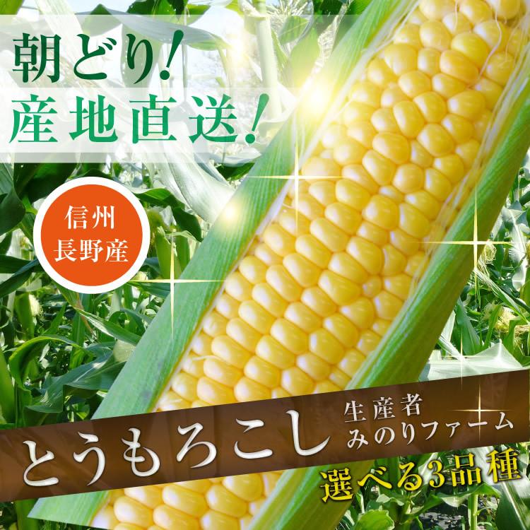 【超目玉】 北海道 十勝産とうもろこしホワイトショコラ 5 076円