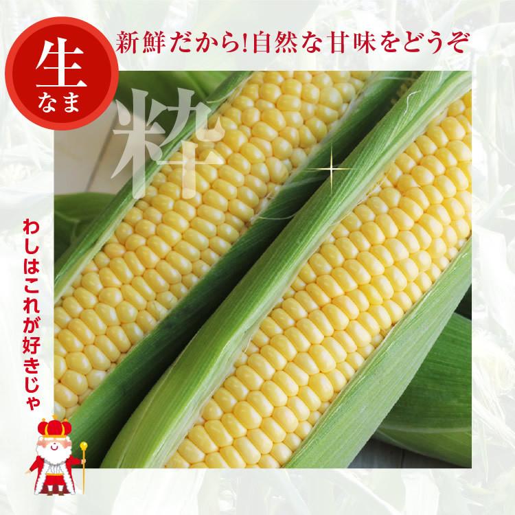トウモロコシの実様 リクエスト 2点 まとめ商品 北国からの贈り物 とうもろこし ゴールドラッシュ Lサイズ 10本