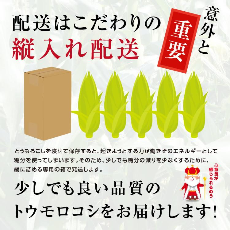 とうもろこし 2kg 6本セット 送料無料 トウモロコシ ゴールドラッシュミルキースイーツ わくわくコーン 長野県産 夏野菜 朝採り｜so-suke｜14