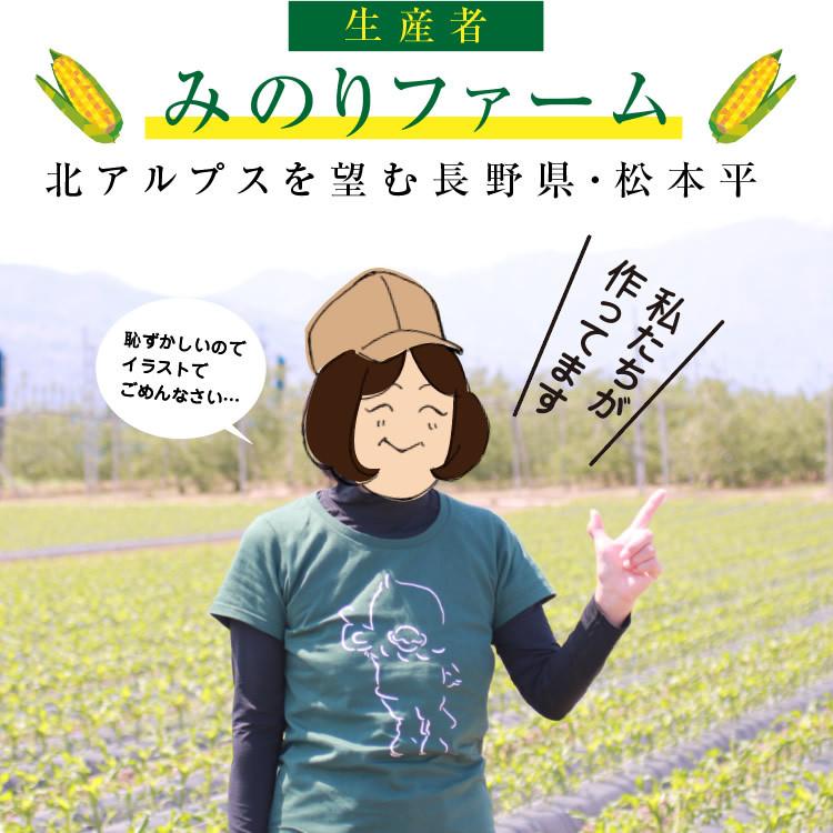 りりお★とうもろこし10本とマンゴー2kg りりお☆とうもろこし10本とマンゴー2kg りりお様専用