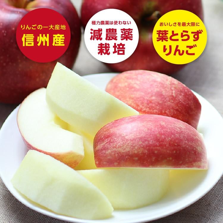 山下屋荘介 りんご サンつがる 5kg 秀品 14〜20玉 長野県産 送料無料