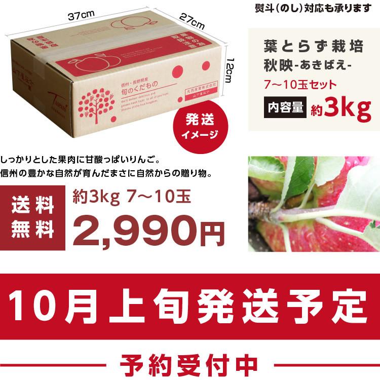 ⑩10箱セット送料無料リンゴ箱りんご箱C品 木箱 【公式通販】