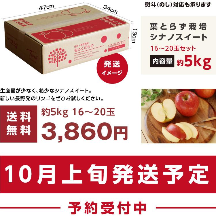 りんご シナノスイート 5kg 長野県産 秀品 送料無料 産地直送 -Y10J 葉とらずリンゴ お取り寄せ 旬の果物 贈答用 贈り物 ギフト :007039:山下屋荘介 - 通販 - Yahoo!ショッピング りんご シナノスイート 5kg 長野県産 秀品 送料無料 産地直送 -Y10J 葉とらずリンゴ お取り寄せ 旬の果物 贈答用 贈り物 ギフト :007039:山下屋荘介 - 通販 - Yahoo!ショッピング