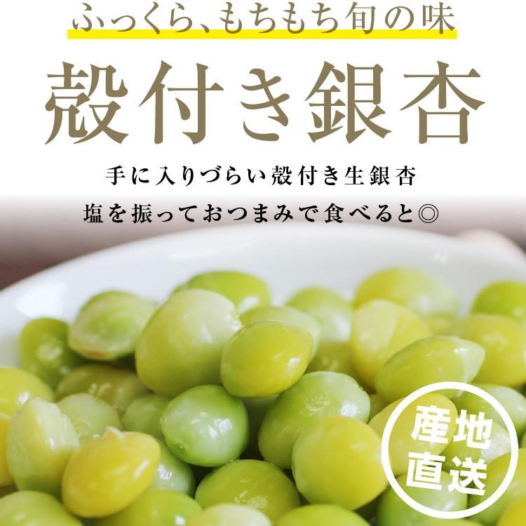 殻付き 生銀杏 藤九郎 500g 送料無料 めちゃ旨 旬の味覚 ギンナン おつまみ 珍味 国産 山下屋荘介 Yahoo 店 通販 Paypayモール