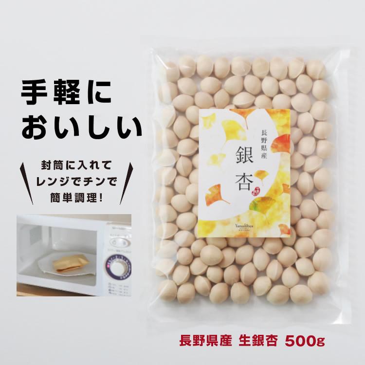 山下屋荘介 銀杏 殻付き 生銀杏 2025年産 藤九郎 500g 長野県産 めちゃ