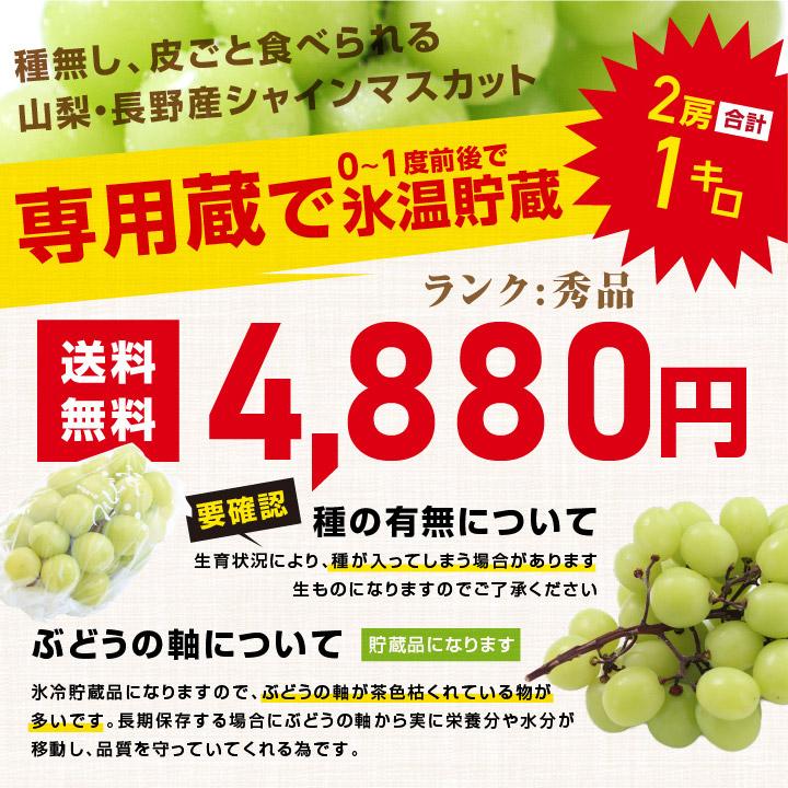シャインマスカット 誕生日 蔵出し 秀品 2房 約1キロ 山梨・長野産 氷温貯蔵 大房 一房約500g -S11T ぶどう クリスマス バースデー お歳暮 お年賀 爆買 |  | 09