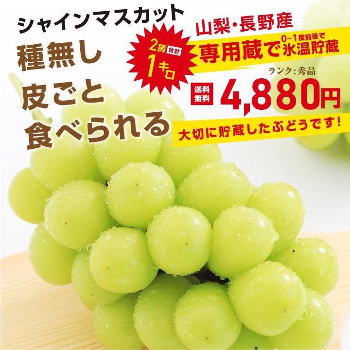 シャインマスカット 誕生日 蔵出し 秀品 2房 約1キロ 山梨・長野産 氷温貯蔵 大房 一房約500g -S11T ぶどう クリスマス バースデー お歳暮 お年賀 爆買 |  | 12