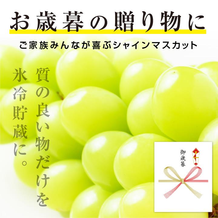 シャインマスカット お年賀ギフト 蔵出しシャインマスカット 秀品 2房 約1.2キロ 長野産 大房 一房約600g -S11T お年賀 送料無料｜so-suke｜05