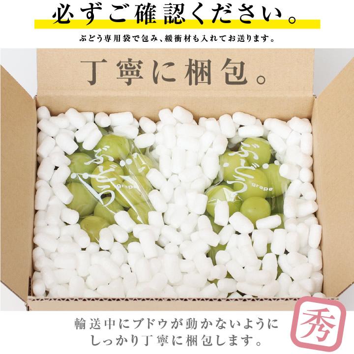 シャインマスカット 誕生日 蔵出し 秀品 2房 約1キロ 山梨・長野産 氷温貯蔵 大房 一房約500g -S11T ぶどう クリスマス バースデー お歳暮 お年賀 爆買 |  | 07