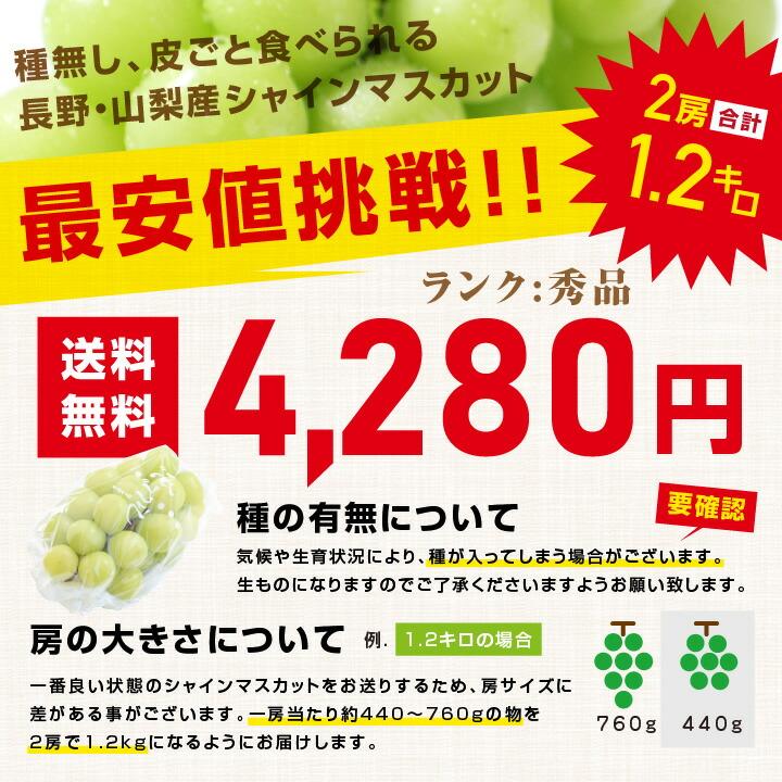 山下屋荘介 シャインマスカット 秀品 2房 約1.2キロ \最安値に 山下屋荘介 シャインマスカット 秀品 2房 約1.2キロ \最安値に
