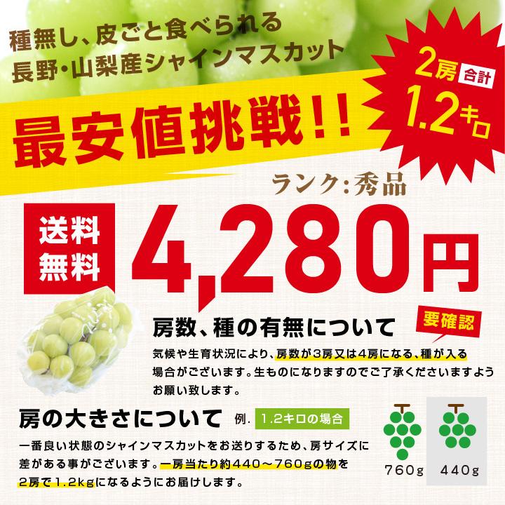 山下屋荘介 シャインマスカット 秀品 2房 約1.2キロ ＼最安値に挑戦