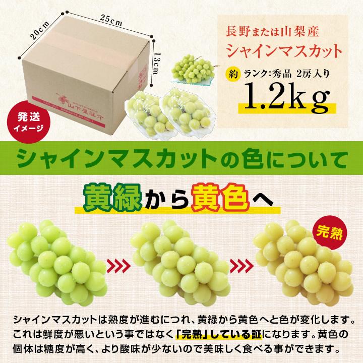 山下屋荘介 シャインマスカット 秀品 2房 約1.2キロ \最安値に 山下屋荘介 シャインマスカット 秀品 2房 約1.2キロ \最安値に