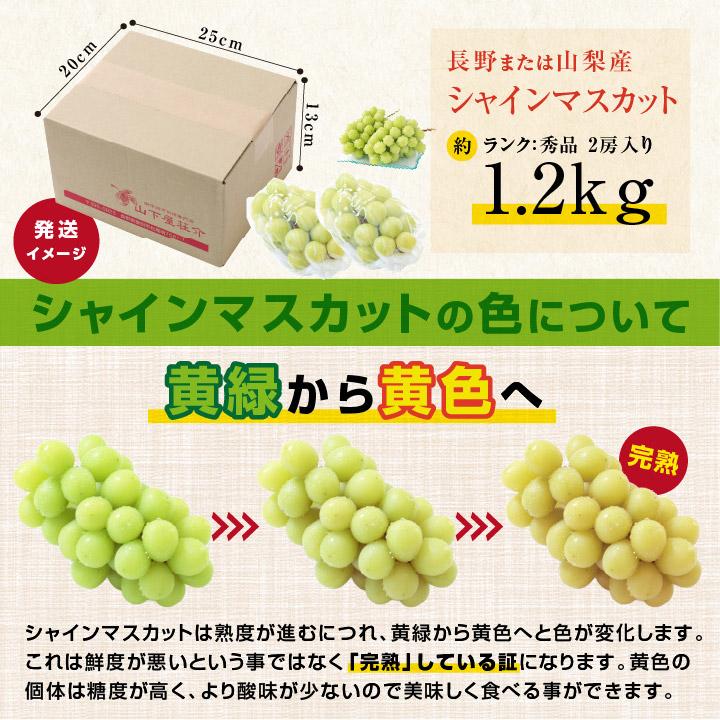 山下屋荘介 シャインマスカット 秀品 2房 約1.2キロ ＼最安値に挑戦