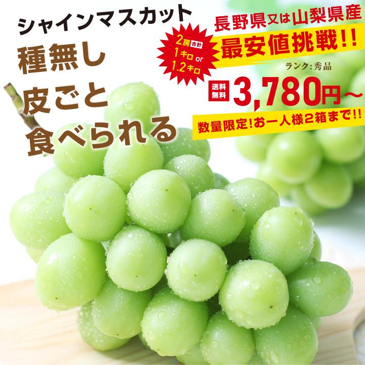 山下屋荘介 シャインマスカット 秀品 2房 約1キロ・1.2キロ ＼最安値に