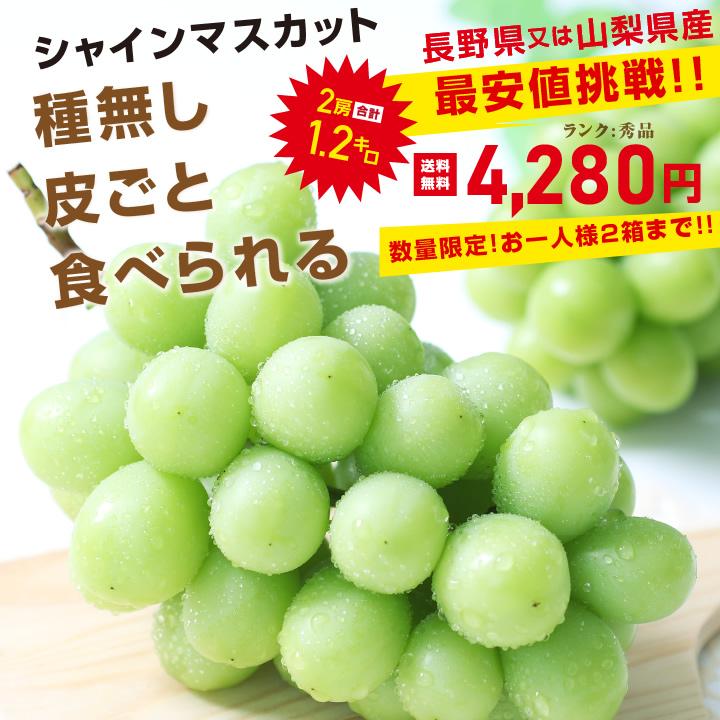 山下屋荘介 シャインマスカット 秀品 2房 約1.2キロ ＼最安値に挑戦