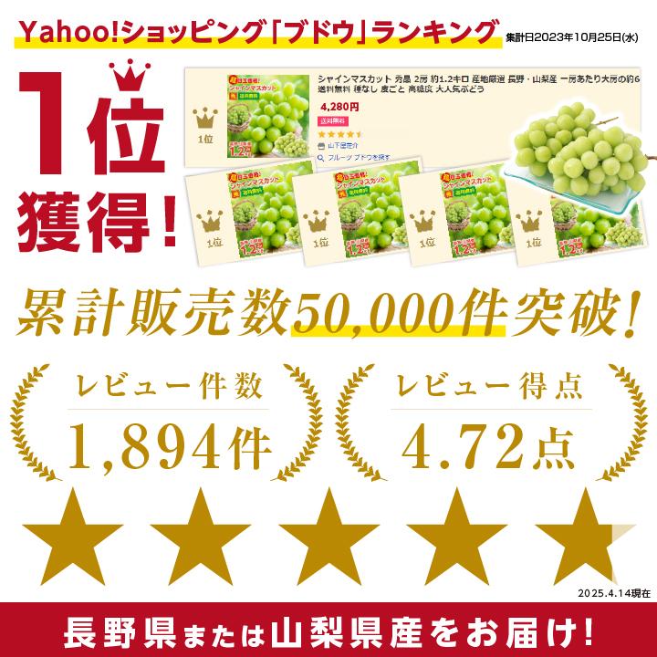 山下屋荘介 シャインマスカット 秀品 2房 約1.2キロ ＼最安値に挑戦